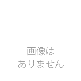 47巻(2024年)年間購読　電子版